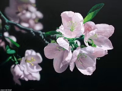 Ngỡ ngàng với tranh siêu thực