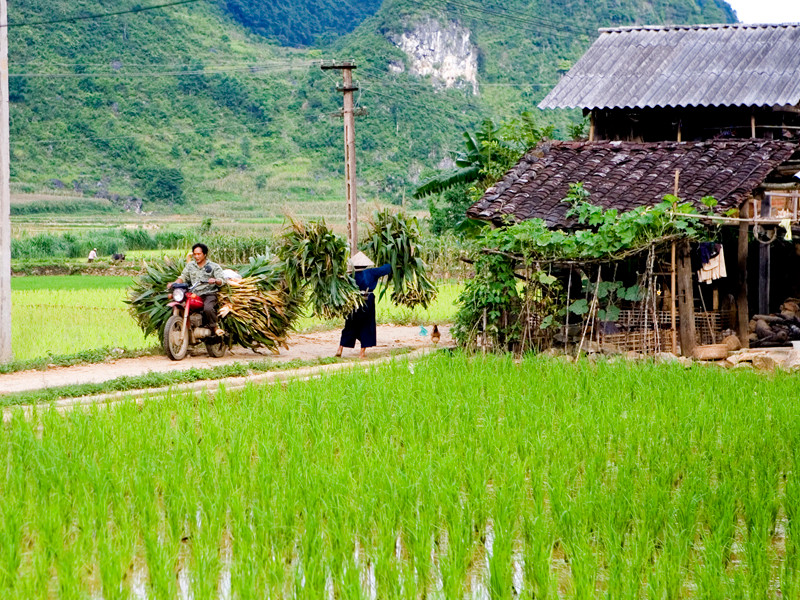 GS Võ nói, nếu không xóa bỏ thời hạn giao đất nông nghiệp, không thể kêu gọi đầu tư lớn từ người dân Ảnh: Hồng Vĩnh