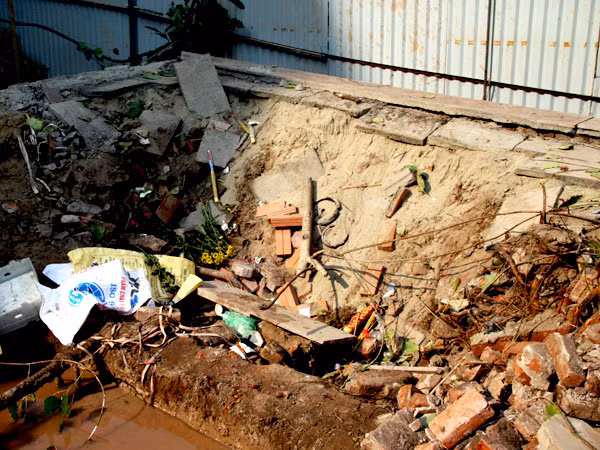 Hiện trường cây bồ đề bị "bốc hơi"