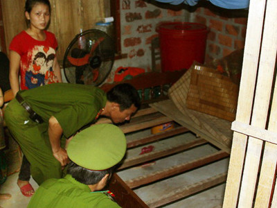 Xông vào nhà cướp gỗ sưa giữa ban ngày