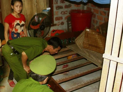 Xông vào nhà cướp gỗ sưa giữa ban ngày