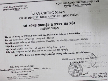 Siêu thị thừa nhận bán rau bẩn