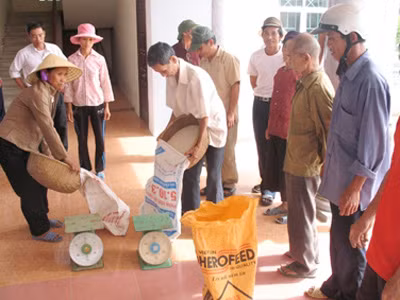 Cận cảnh cái đói xứ Thanh - Kỳ 2