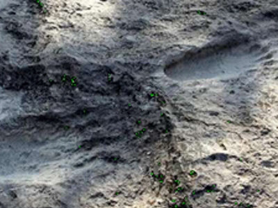 Dấu chân người có niên đại 25.000 năm ở Mexico