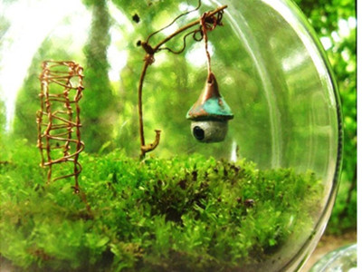 Sự sống trong lọ thủy tinh