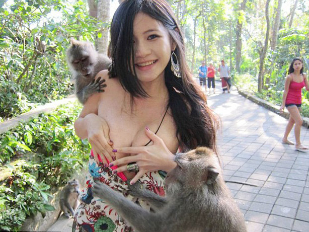 Nữ sinh nổi tiếng vì... bị khỉ kéo tuột váy