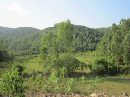 Kinh hoàng chồng giết vợ rồi phi tang xác dưới hang