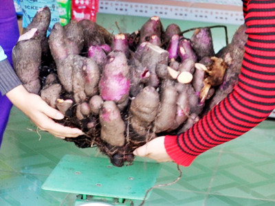 Củ khoai hình hoa sen nặng 30 kg