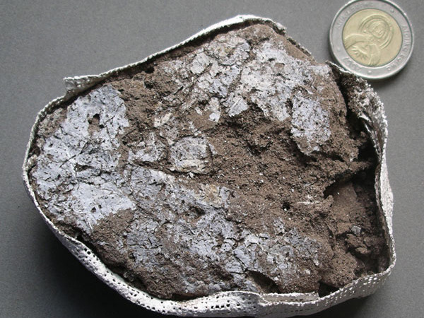 Người nguyên thủy biết làm giường ngủ chống muỗi