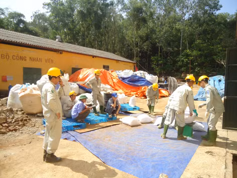 Vụ chôn thuốc trừ sâu: Dừng khai quật nếu không được tạm ứng kinh phí