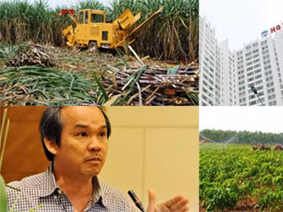 Sốc nặng với độc chiêu giá rẻ của bầu Đức