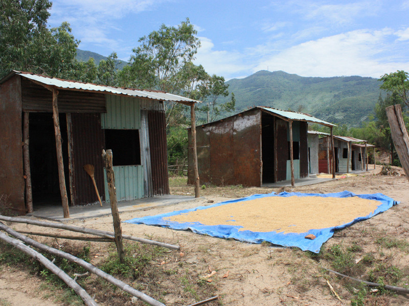 Dãy nhà tạm bợ được dựng vội để chờ đền bù Ảnh: Nam Cường