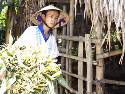 Dương Thanh Tuấn lo lắng, chưa biết cách nào đến trường, dù đậu 2 trường ĐH