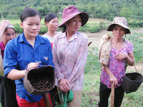 Đào bắt dế ven sông đem bán