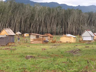 Cần xử lý dứt điểm