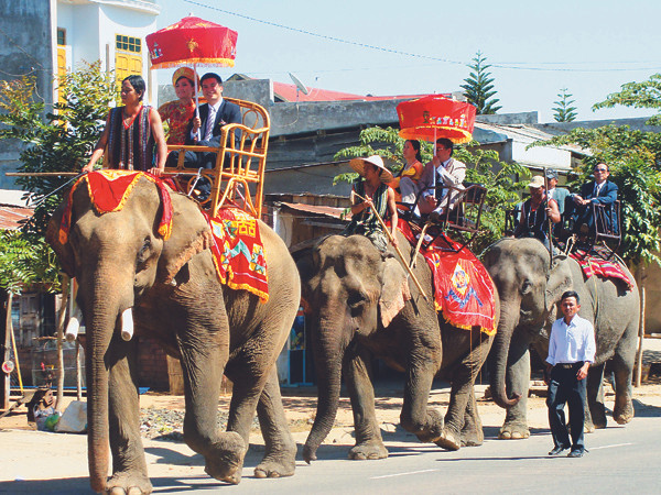 Đại tộc nuôi Voi bên hồ Lắk
