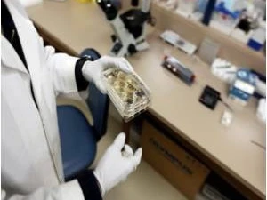 Hàn Quốc phát triển loại thuốc điều trị ung thư mới