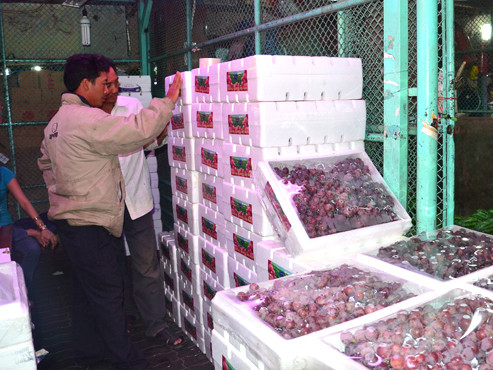 Kiểm tra chặt nho, khoai tây Trung Quốc