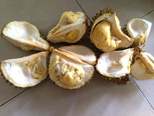 Dùng thuốc độc ép chín trái cây