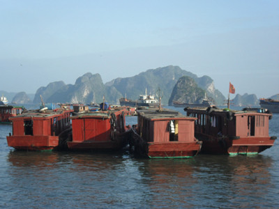 Tàu không phép tung hoành vịnh Bái Tử Long