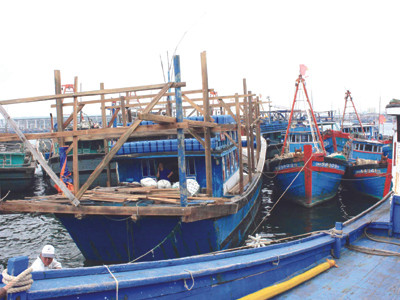 Hiểm nguy ngoài biển, gặp khó trong bờ