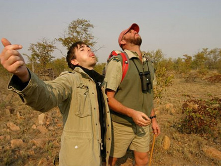 Kỳ lạ cuộc thi nhổ... phân linh dương