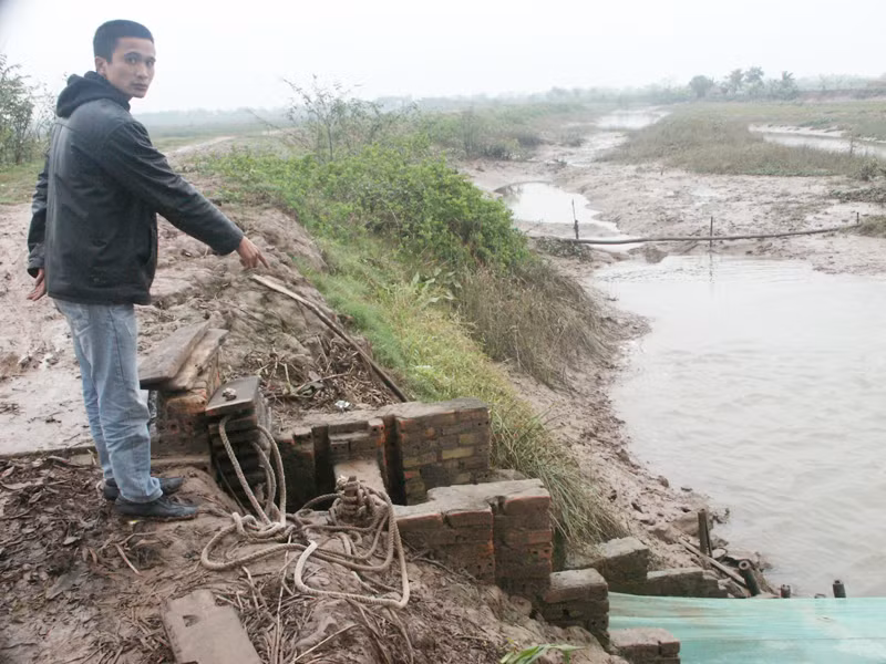 Anh Tân đang chỉ một trong 5 chiếc cống trước đây bố anh xây dựng dọc theo con đê bao quanh khu đầm