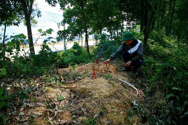 Những hài nhi bị vứt bỏ ở bãi rác Nam Sơn