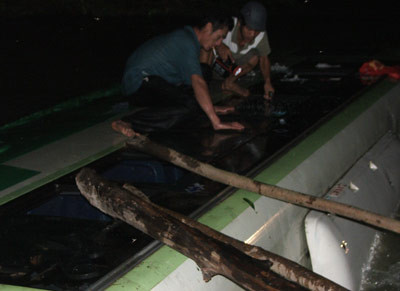 Lật xe buýt chở 60 hành khách