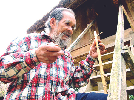 Đàn sáo đại ngàn