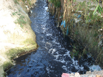 Sống lay lắt bên dòng kênh chết