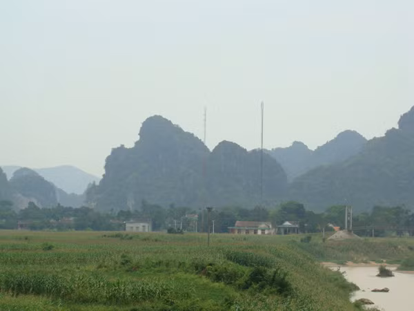 Khu vực rộ lên tin đồn lâm tặc trúng cây trăm tỷ