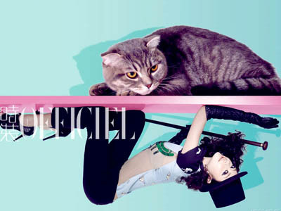 Chân dài Hùng Đại Lâm hóa thân thành…mèo