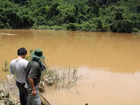 Vi phạm Luật Đa dạng sinh học