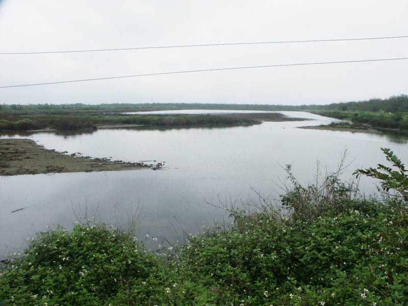 Đầm nước của gia đình ông Vươn đã bị ai đó tháo nước để vơ vét thủy sản
