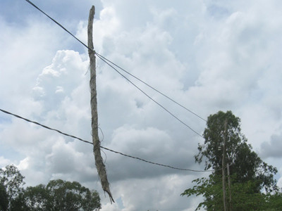 Dân nghèo chỉ được xài cột điện mục