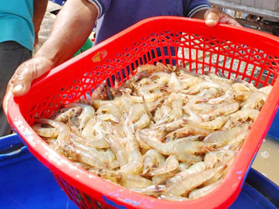 Muốn rút tên, Bộ NN&PTNT phải trình căn cứ