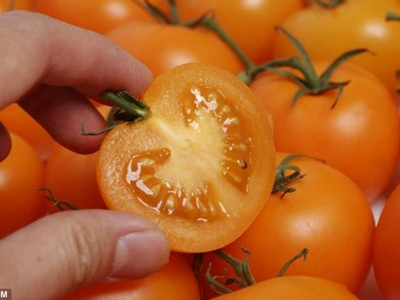 Dùng thuốc viên từ cà chua hàng ngày giúp giảm đau tim