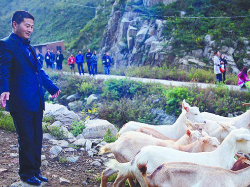 Bí ẩn cái chết của người vạch trần vụ sữa nhiễm melamine