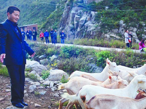 Bí ẩn cái chết của người vạch trần vụ sữa nhiễm melamine