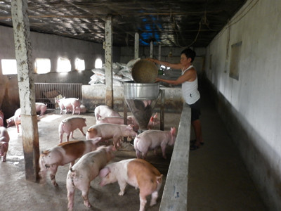 Sau một đêm, mất hàng trăm tỷ đồng