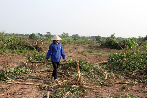 Cưỡng chế sai luật, chủ tịch xã phải bồi thường cho dân