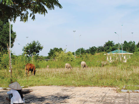 Vì sao Hạ tầng bỏ hoang?