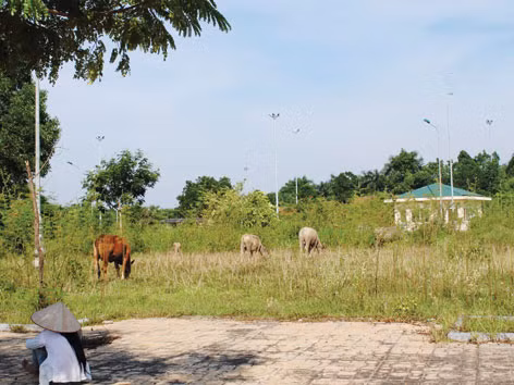 Vì sao Hạ tầng bỏ hoang?