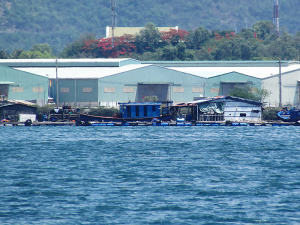 Chủ tịch thành phố biết từ lâu và đang rà soát