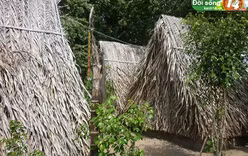 Khoảng tối 'cà phê chòi' Đà Lạt