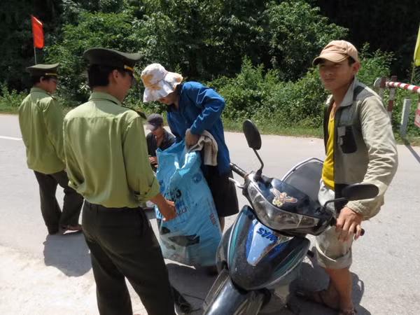 Nhiều kiểm lâm của hạt Phong Nha - Kẻ Bàng đang bị nghi vấn liên quan vụ gỗ sưa ngàn tỷ