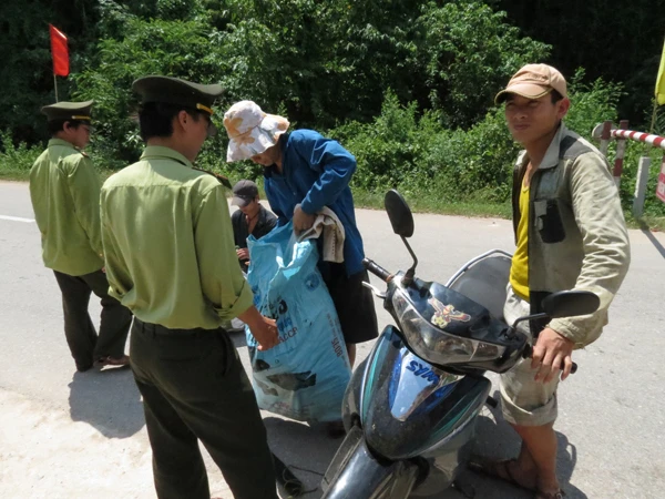 Nhiều kiểm lâm của hạt Phong Nha - Kẻ Bàng đang bị nghi vấn liên quan vụ gỗ sưa ngàn tỷ