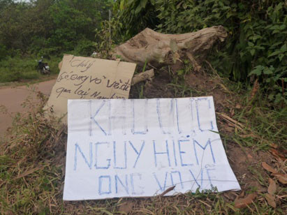 Ong vò vẽ đốt chết cụ ông 72 tuổi