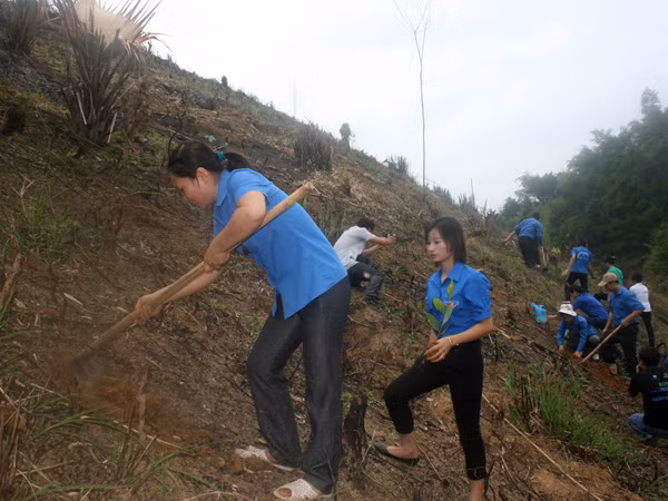 ĐVTN phủ xanh đất trống, đồi núi trọc tại Bắc Kạn. Ảnh: H.Y